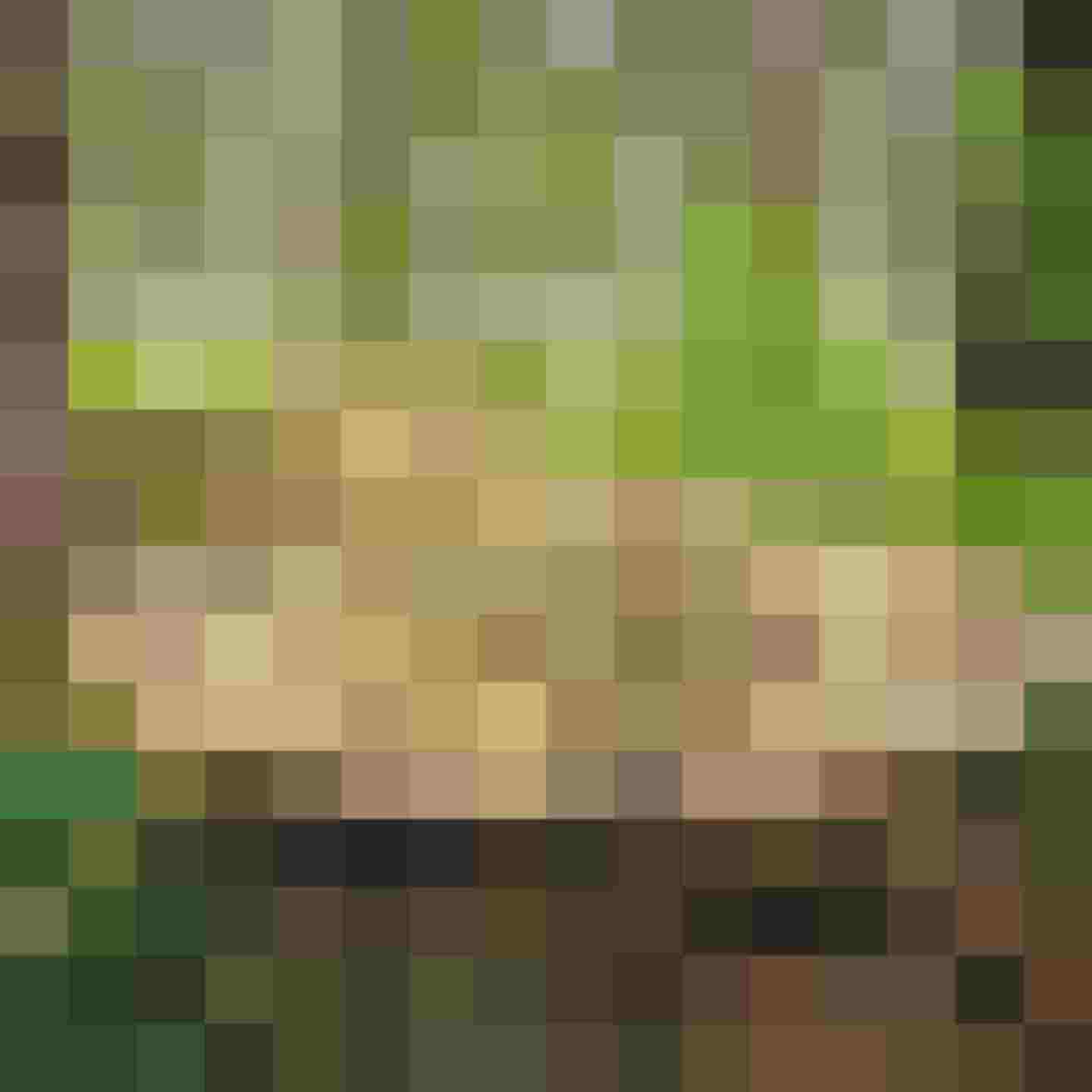 Waldspaziergang